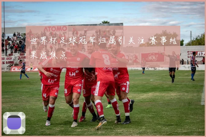 世界杯足球冠军归属引关注 赛事结果成焦点