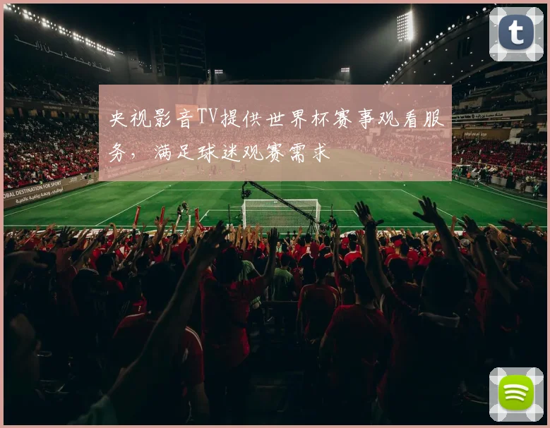 央视影音TV提供世界杯赛事观看服务,满足球迷观赛需求