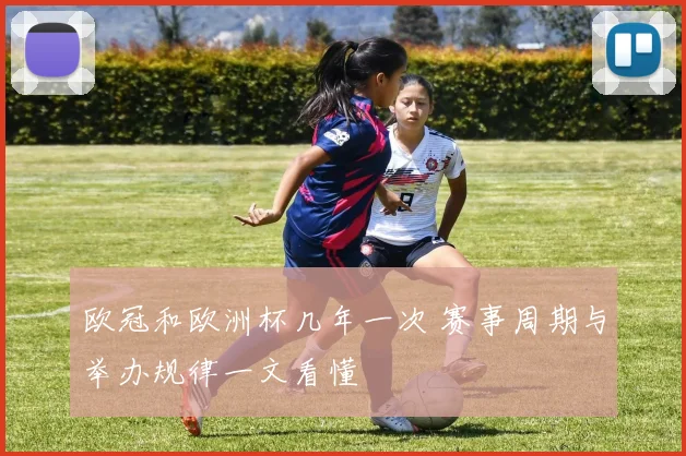 欧冠和欧洲杯几年一次 赛事周期与举办规律一文看懂