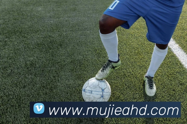 必一运动体育官网APP 封面图